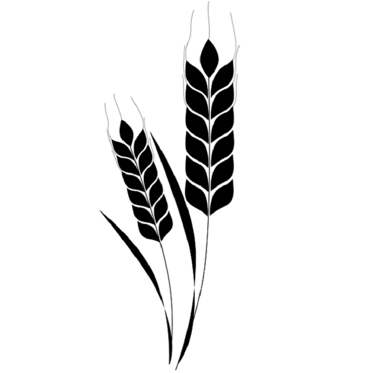 stem-2121775_1280-plant vector sm 768